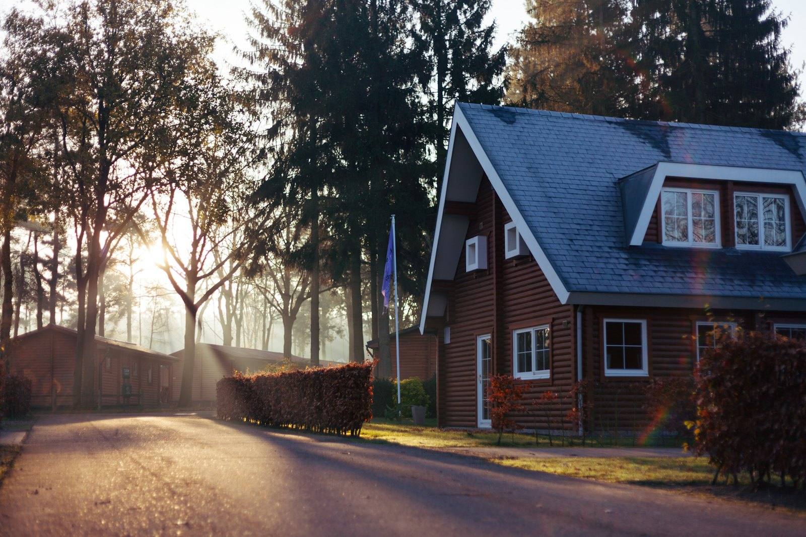 A small home at the end of a tree-lined road at sunrise